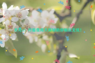 天龙sf：开服费用大揭秘助你畅玩无忧！