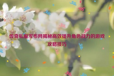 传奇私服发布网揭秘高效提升角色战力的游戏攻略技巧