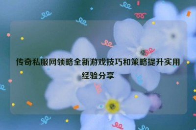 传奇私服网领略全新游戏技巧和策略提升实用经验分享