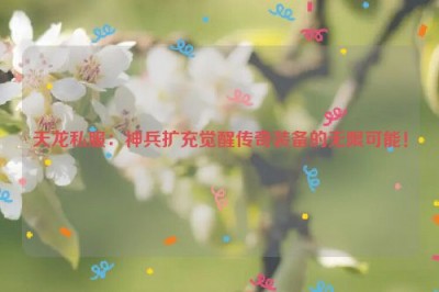 天龙私服：神兵扩充觉醒传奇装备的无限可能！