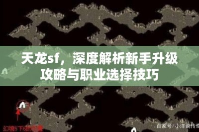 天龙sf，深度解析新手升级攻略与职业选择技巧