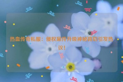 热血传奇私服：侵权案件升级神秘背后引发热议！