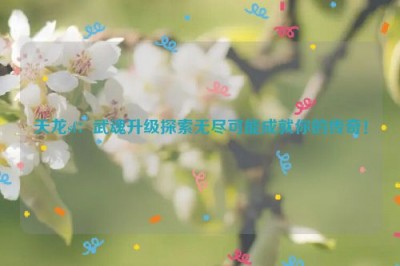 天龙sf：武魂升级探索无尽可能成就你的传奇！