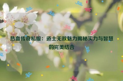 热血传奇私服：道士无敌魅力揭秘实力与智慧的完美结合