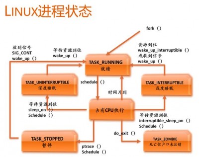 Linux中怎么仅显示特定用户的进程