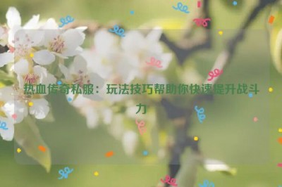 热血传奇私服：玩法技巧帮助你快速提升战斗力