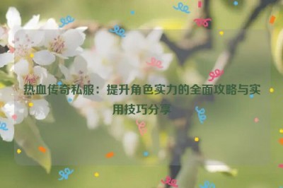 热血传奇私服：提升角色实力的全面攻略与实用技巧分享