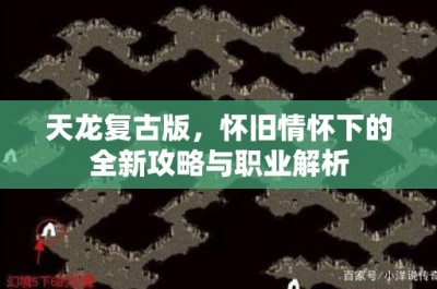 天龙复古版，怀旧情怀下的全新攻略与职业解析