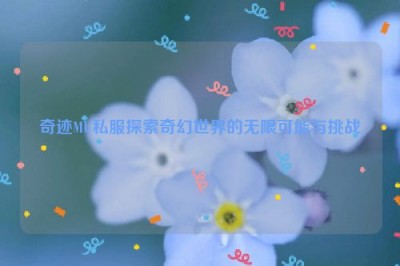 奇迹MU私服探索奇幻世界的无限可能与挑战