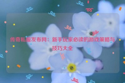 传奇私服发布网：新手玩家必读的游戏策略与技巧大全