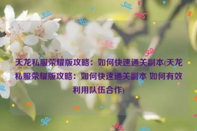 天龙私服荣耀版攻略：如何快速通关副本(天龙私服荣耀版攻略：如何快速通关副本 如何有效利用队伍合作)