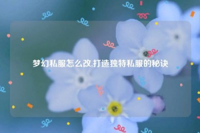 梦幻私服怎么改,打造独特私服的秘诀