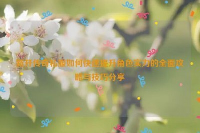 新开传奇私服如何快速提升角色实力的全面攻略与技巧分享