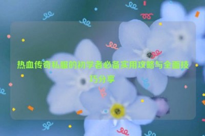 热血传奇私服的初学者必备实用攻略与全面技巧分享