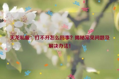 天龙私服：打不开怎么回事？揭秘常见问题及解决办法！