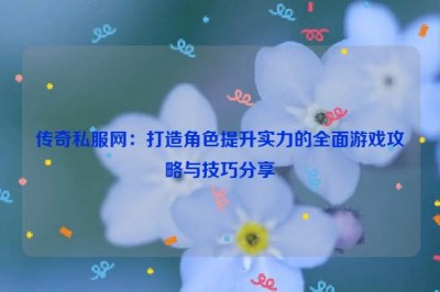 传奇私服网：打造角色提升实力的全面游戏攻略与技巧分享