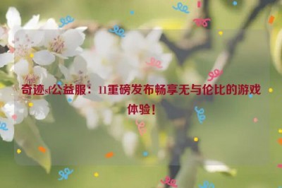 奇迹sf公益服：11重磅发布畅享无与伦比的游戏体验！