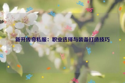 新开传奇私服：职业选择与装备打造技巧