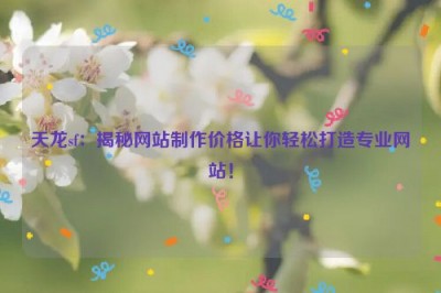 天龙sf：揭秘网站制作价格让你轻松打造专业网站！