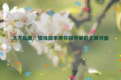 天龙私服：情缘脚本带你探寻爱的无限可能