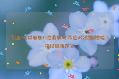 奇迹sf公益服加13隐藏加成,奇迹sf公益服增幅13特权重新定义