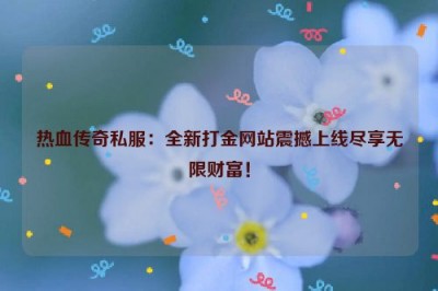 热血传奇私服：全新打金网站震撼上线尽享无限财富！