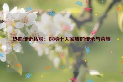 热血传奇私服：探秘十大家族的传承与荣耀