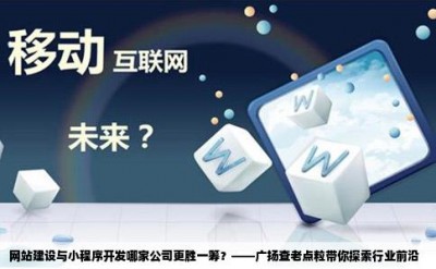 网站建设与小程序开发哪家公司更胜一筹？——广扬查老点粒带你探索行业前沿