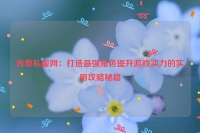 传奇私服网：打造最强角色提升游戏实力的实用攻略秘籍