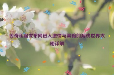 传奇私服发布网进入激情与策略的游戏世界攻略详解