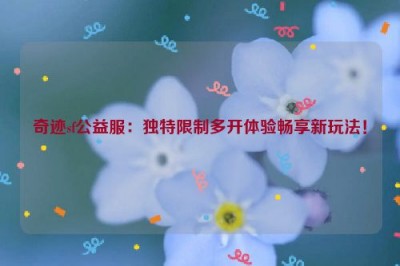 奇迹sf公益服：独特限制多开体验畅享新玩法！