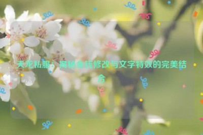 天龙私服：揭秘金钱修改与文字特效的完美结合