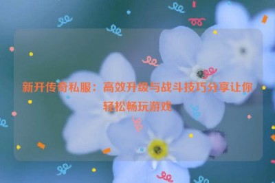 新开传奇私服：高效升级与战斗技巧分享让你轻松畅玩游戏