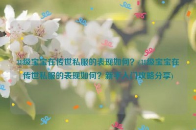 38级宝宝在传世私服的表现如何？(38级宝宝在传世私服的表现如何？新手入门攻略分享)