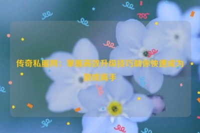 传奇私服网：掌握高效升级技巧助你快速成为游戏高手