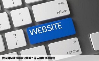 武汉网站建设哪家公司好？深入剖析优质案例