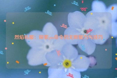 烈焰私服：探索gm命令的无限魅力与技巧