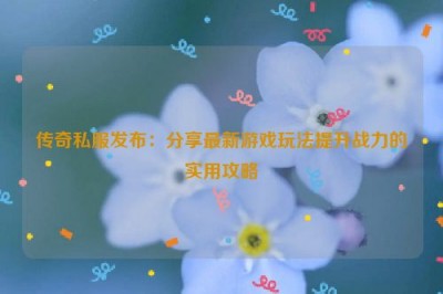 传奇私服发布：分享最新游戏玩法提升战力的实用攻略