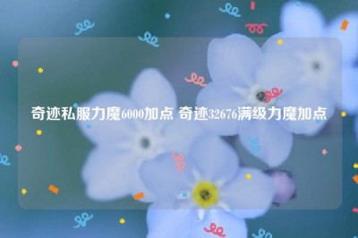 奇迹私服力魔6000加点 奇迹32676满级力魔加点