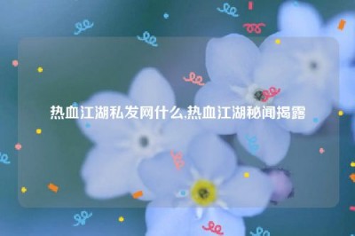 热血江湖私发网什么,热血江湖秘闻揭露