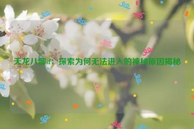 天龙八部sf：探索为何无法进入的神秘原因揭秘