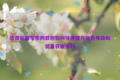 传奇私服发布网教你如何快速提升角色等级和装备获取技巧