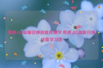 奇迹sf公益服召唤技能在哪学,奇迹sf公益服召唤技能学习地