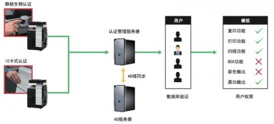 Debian系统上怎么管理用户和组