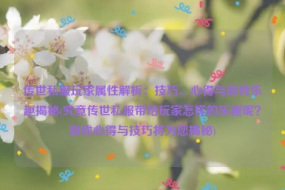 传世私服玩家属性解析：技巧、心得与游戏乐趣揭秘(究竟传世私服带给玩家怎样的乐趣呢？游戏心得与技巧将为您揭秘)