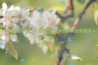 奇迹sf公益服：全面端口优化带你体验全新游戏乐趣