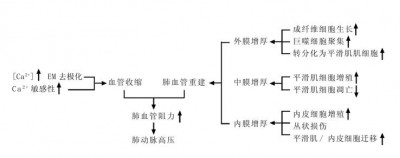 Nagios在高可用性和故障恢复方面有哪些功能和机制