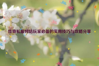 传奇私服网站玩家必备的实用技巧与攻略分享