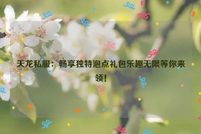 天龙私服：畅享独特泡点礼包乐趣无限等你来领！