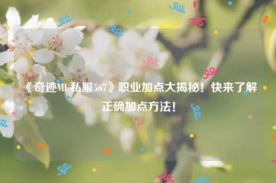 《奇迹MU私服567》职业加点大揭秘！快来了解正确加点方法！